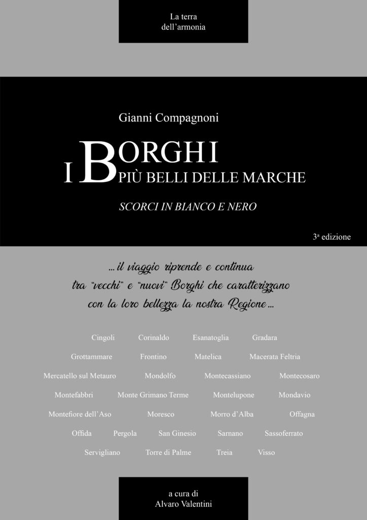 Copertina-nuovo-libro-sui-Borghi-724x1024.jpg