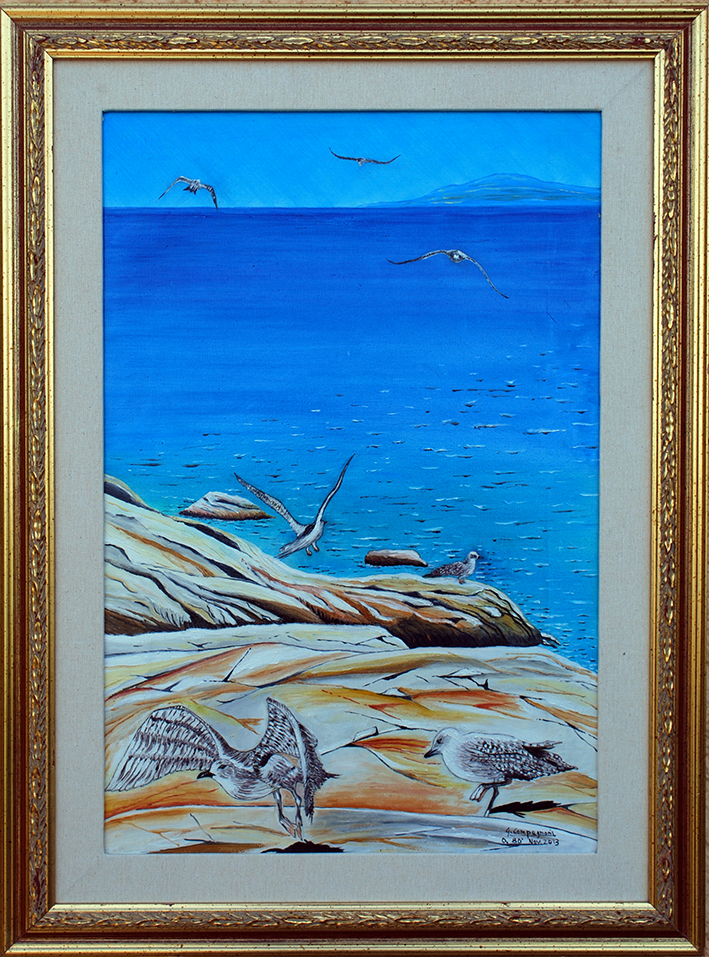 Gabbiani-a-Ponza-bas.-ris