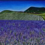 La-natura-multicolore-del-Conero