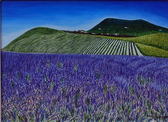 La-natura-multicolore-del-Conero